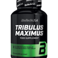 BIOTECH USA Tribulus Maximus 90 Capsulas